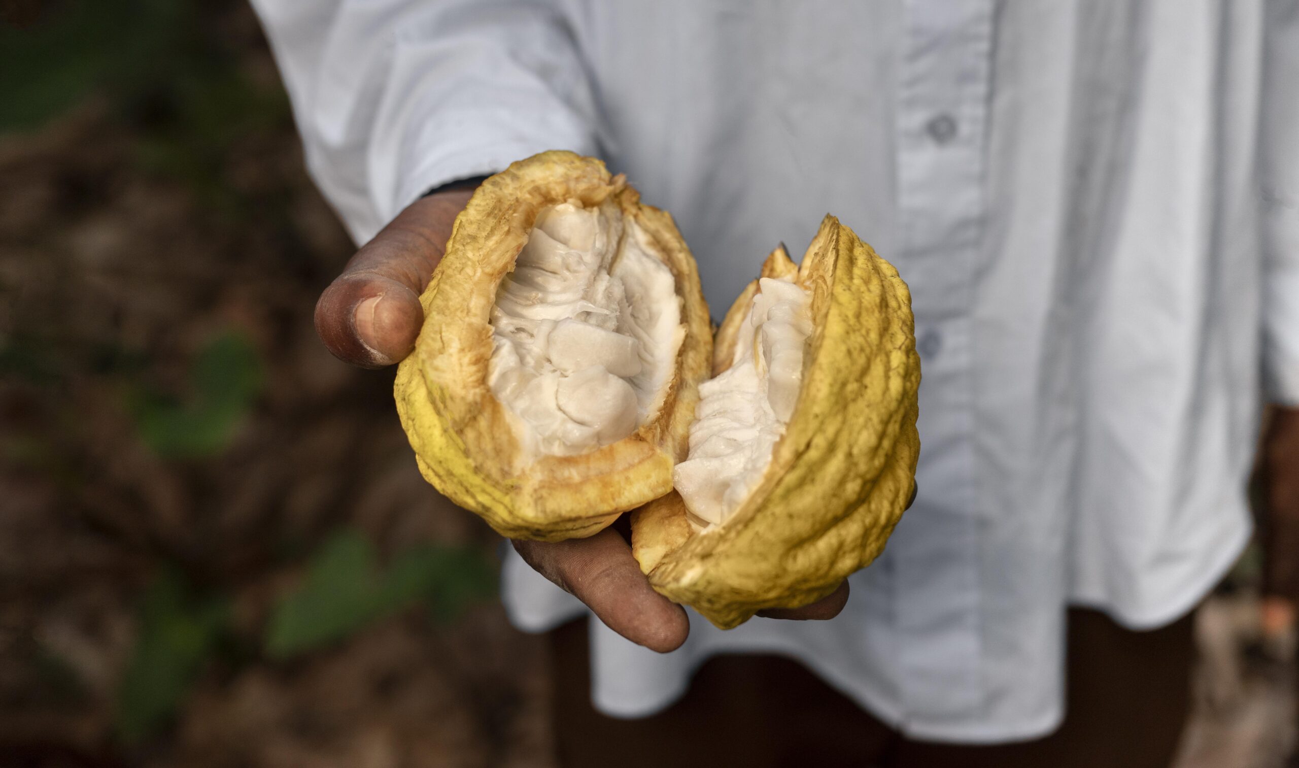 hand-holding-open-fruit-close-up-scaled.jpg