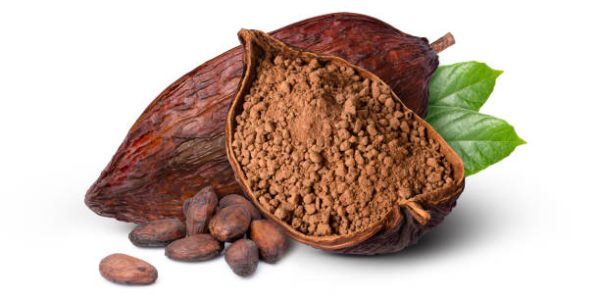 Natural Premium Cocoa Powder